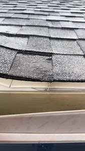 Leaking water = big problems! This homeowner’s gutter was installed incorrectly, and now water is leaking inside the house instead of being directed away. Left unchecked, this can lead to costly water damage, mold, and structural issues. If you’re dealing with leaks, don’t wait until it’s too late—get a professional inspection today! 📞 (855) 557-4466 🌐 rhinoshieldroofing.com #RoofLeaks #WaterDamage #HomeProtection #RoofingExperts #GutterRepair #RhinoShieldRoofing | Rhino Shield Roofing & Const