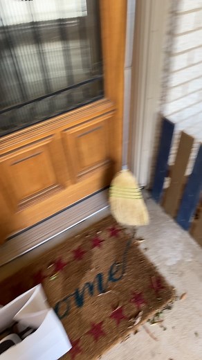 Cute Tortoise Relaxing During DoorDash Delivery