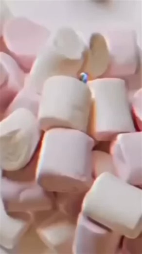 ‎ڜ‎ on Instagram: "enguin's know-how on 'Tolerating the Cold' Penguins who chose Antarctica as their habitat have evolved to withstand extreme Antarctic cold. Penguin's chubby body, which only looks cute with a thick layer of fat, is wrapped in a thick fur coat once again. If you compare it to a house, it acts as an insulator. Penguins' fur does not get wet even with water. The natural oil that comes from the oil glands in the tail is applied all over the body to create a waterproof effect. That