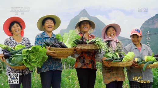 《端牢中国饭碗》 第14集 拎稳菜篮