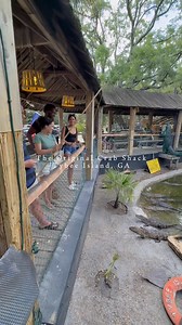 🎥 POV: You’re at The Original Crab Shack 🌴 “Where the elite eat in their bare feet!” But we’re more than just a restaurant… 🐊 Feed the baby gators 🛍️ Browse the gift shop 🐦 Visit the aviary 🎮 Play in the arcade 🍹 Kick back with a cold drink (or join the fun!) #TheOriginalCrabShack #FamilyFun #BarefootEats #SummerOnTybee #TybeeIsland #TheOriginalCrabShack #SummerDrinks #CoastalEscape #SeafoodVibes #tiktok #tik #savannah #fun #travel #travel #trending #crab | The Original Crab Shack