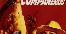 Los compañeros (1970)  - Ver Película Completa en Español / Castellano - FULLTV