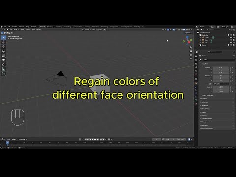 Regain colors of different face orientation | Blender 5.0.1