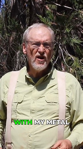 209K views · 4.6K reactions | Get gold every time you are out prospecting | The Professional Prospector | Facebook