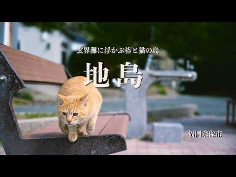 【福岡Vlog】島歩き 玄界灘に浮かぶ小さな猫と椿の島 地島 Nikon Z5Ⅱ & Nikon Z6Ⅱ / Japan travel, Walking around Jinoshima