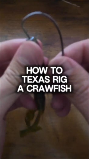 Rig your craw for MAXIMUM bites
