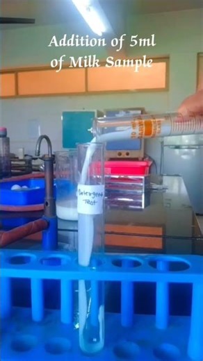 Is YOUR milk REAL? 😱 Testing for Starch Adulteration! #shorts #milk #viral