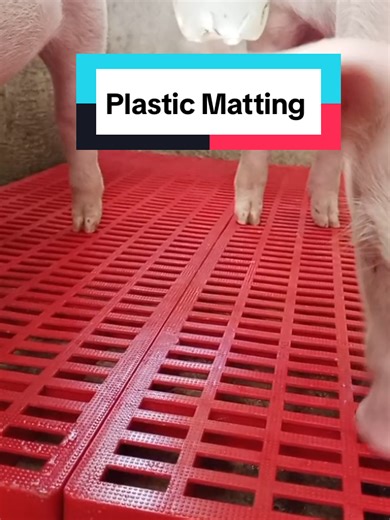 Benefits of Plastic Matting for Animals