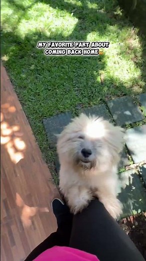 No matter how hard I work, I forget everything when I see them🥹♥️💯 #dilkinadeera