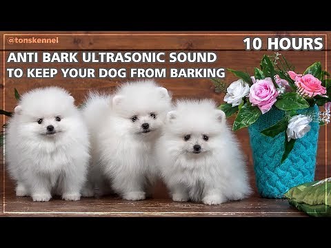 10 Hours Ultrasonic Sound To Stop Your Dog From Barking | Anti Bark Control