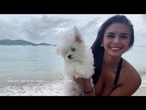 Beach walk with Yoffe & Latte— Ask interesting questions 2