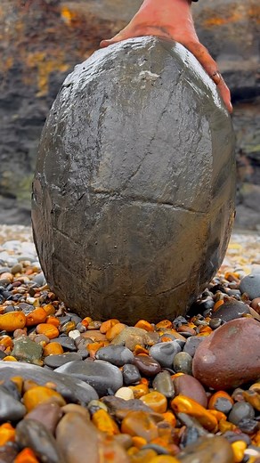 Aaron and Shae | On one of our hunts we came across a large nodule with some calcite veins running though it and decided to investigate further 🦕 Although... | Instagram