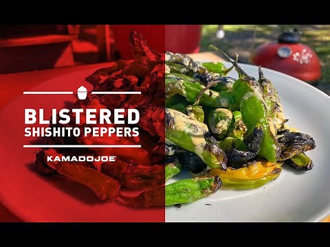 Blistered Shishito Peppers | Chef Eric Recipe