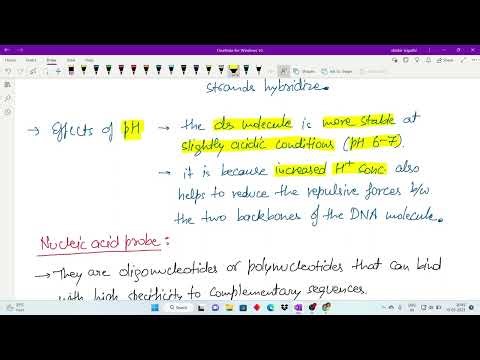 Nucleic Acid Hybridization