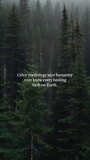 Exploring Celtic Mythology: The Lost Healing Knowledge