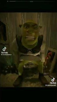 OH MA GOD SHREK POOPING