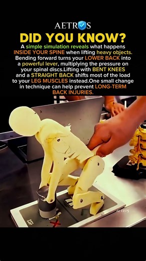 The Right Way to Lift Heavy Objects #history #facts