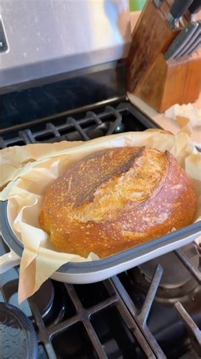 Perfectly crusty bread every single time with this one tool #baking #dutchoven #breadmaking