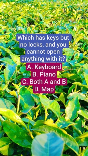 Which has keys but no locks, and you cannot open anything with it?