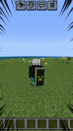 Minecraft shield skin !