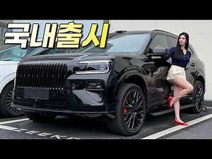 Cheaper than the GV80? Ziker 8X domestic launch confirmed!? 1,400km range!