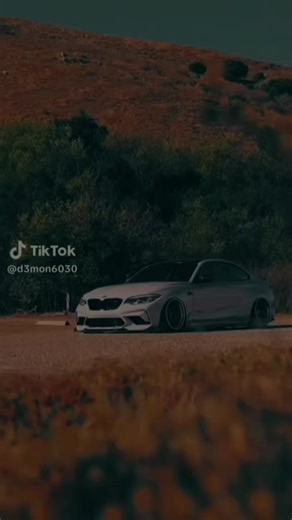 blue cheetah (@blue.cheetah8)’s videos with original sound - blue cheetah