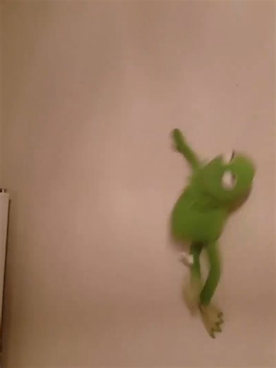 muppet brings chaos #muppets #kermitthefrog #funny #comedy