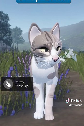 Herbs in Warrior Cats: Explore Unique Locations