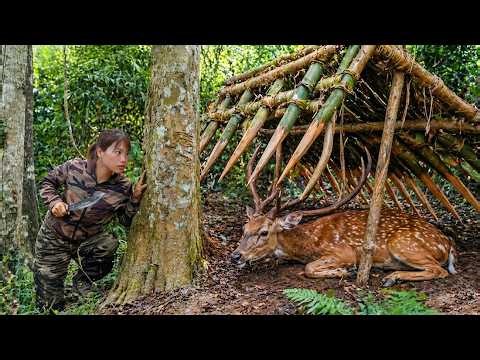 Solo Wilderness Survival: Deer Trapping, Pigeon Hunting & Outdoor Cooking Skills