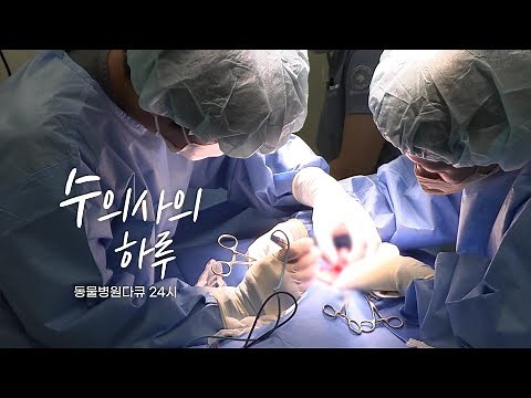 동물병원다큐 24시 - 수의사의 하루 #24시동물병원 #동물다큐 #수의사