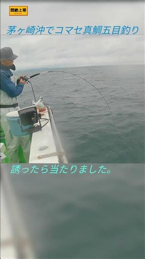 2026年6月8日 茅ヶ崎港からコマセ真鯛五目釣り。