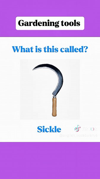 Essential Gardening Tools Vocabulary for English Learners