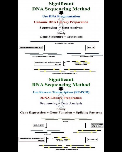 Significant of DNA and RNA Sequencing Methods #geneticteacher