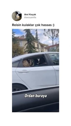 Abone olarak bize destek olabilirsiniz kardeşlerim