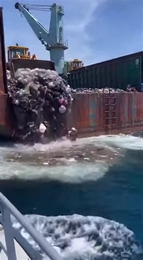 The Impact of Urban Dumping on Ocean Ecosystems