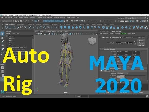 Basic & Automatic rigging in Autodesk Maya 2020