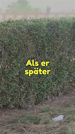 A son who forgot his mother