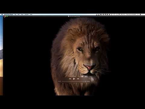 Houdini as the Best Software for 3D Grooming | Andriy Bilichenko | Houdini HIVE Paris
