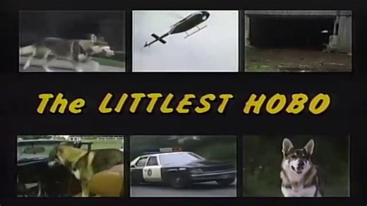 The Littlest Hobo