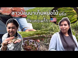 ของดีที่ฝรั่งมองข้าม เก็บหน่อไม้ฝรั่งป่า หากินตามแม่น้ำลำคลองกับสะใภ้ไฮดาโฮ อเมริกา