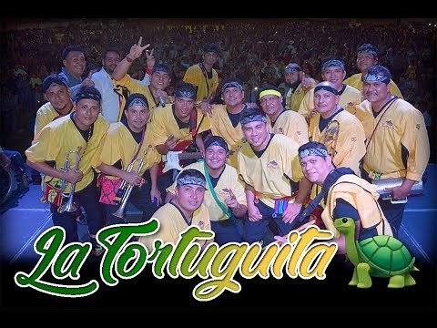 La Tortuguita 🐢