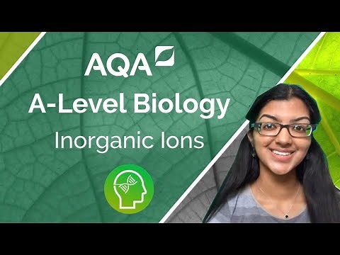 AQA A Level Biology: Inorganic Ions