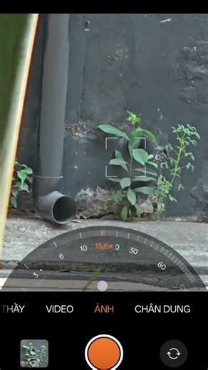 Hasselblad, Oppo find x6 pro #anh13daodien