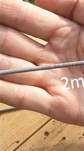 Budget vs Pro: Is the Expensive Option Better?