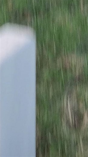 🌿 Nature's Balance in Action: Predator vs. Prey 🦅🐿️I recently captured an intense moment in the wild: a red-tailed hawk feeding on a squirrel. While it might seem harsh, this is a powerful… | Basem Rabia