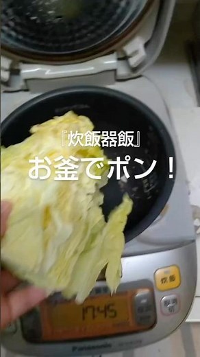 ポイポイぽ〜い！ マネしてやってみた。#犬 #大型犬のいる生活 #犬のご飯 #簡単レシピ #手作り犬ごはん
