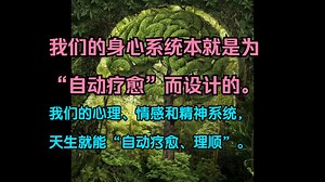 Adyashanti: 当你不再把它当真，它会自动理顺。 阿迪亚