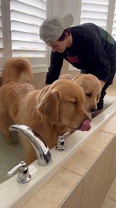 435K views · 14K reactions | Bro bath time at the Newtons.. and if you watched Colins baby bath video there are lots of similarities  | Sterling Newton | Facebook