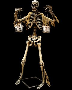 SkeleBall 13' Tall Animated Talking Character ⋆ Scare Factory