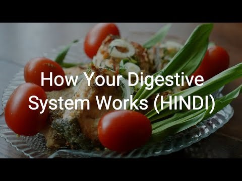 How Your Digestive System Works (HINDI) | #EP205